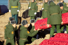 DSCN3038